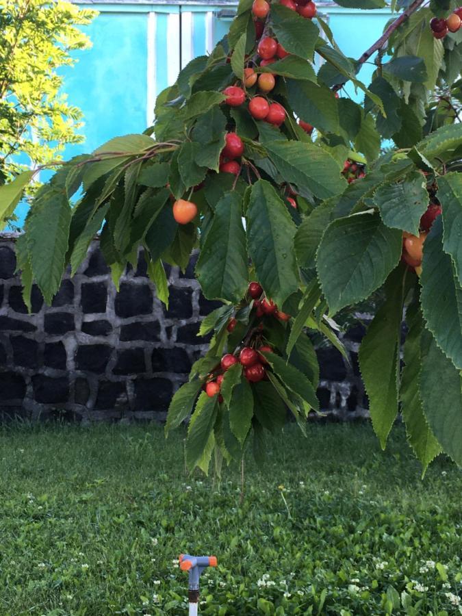 Edem Sevan Esterno foto